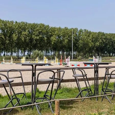 Dom wakacyjny Huswell - Tosca - Lovely Double At Ranch De Blauwe Zaal *